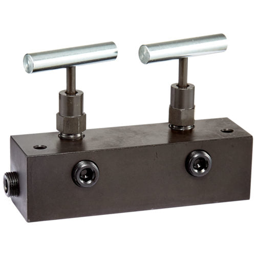 6" Long Manifold Block With 2 Needle Valves, 1 In - 2 Out, 3/8" Nptf